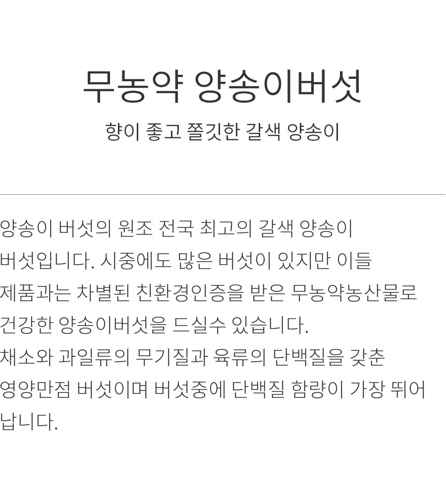 상세정보 이미지